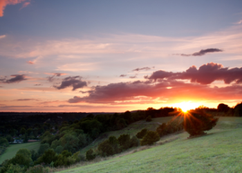 Surrey sunset