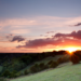 Surrey sunset