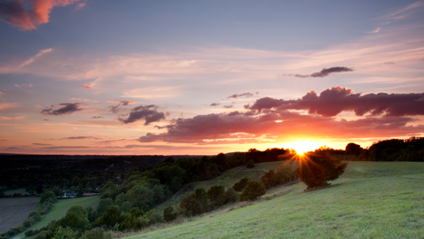Surrey sunset