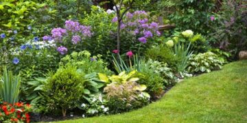 Homeowners advised to check policies for garden cover