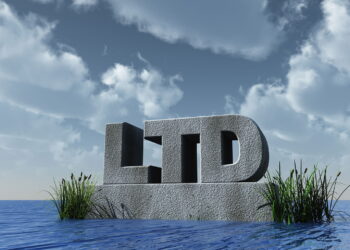 FHL sees rise in limited company BTL