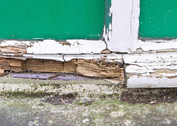 Millions ‘saving’ on property surveys