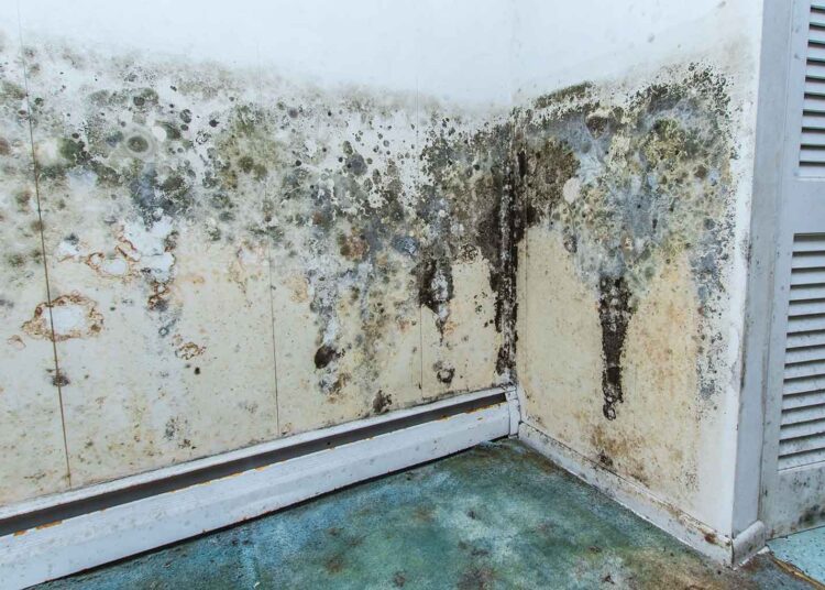 Insecurity in private rental sector hitting families hard