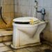 Tenants’ confessions ‘show need for landlord cover’