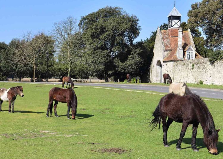 National Park homes cost an extra £116,500