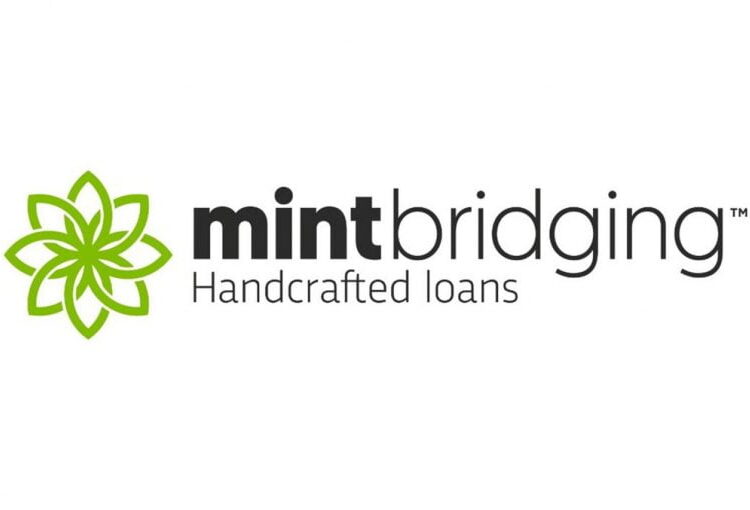 Mint Bridging hires experienced underwriter