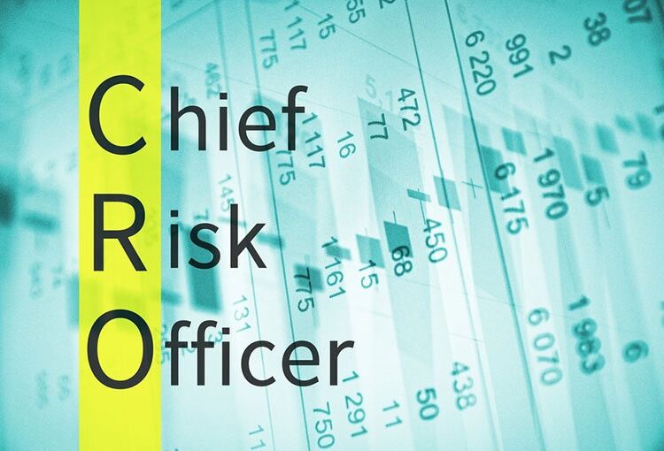 Belmont Green hires chief risk officer