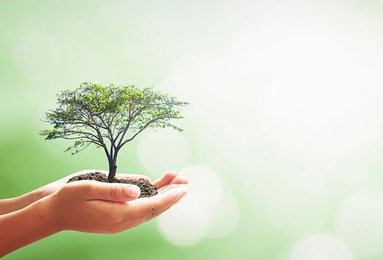 Advise Wise unveils new tree planting initiative