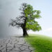 Pepper Money commits to climate change initiatives