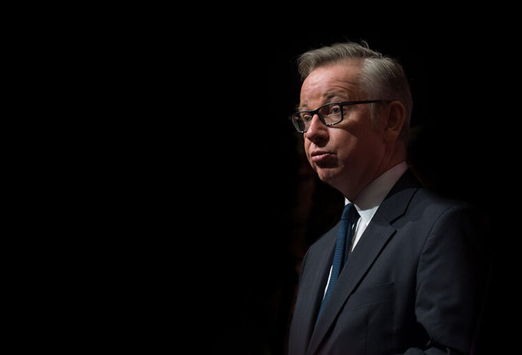 How does Gove view the private rental sector?