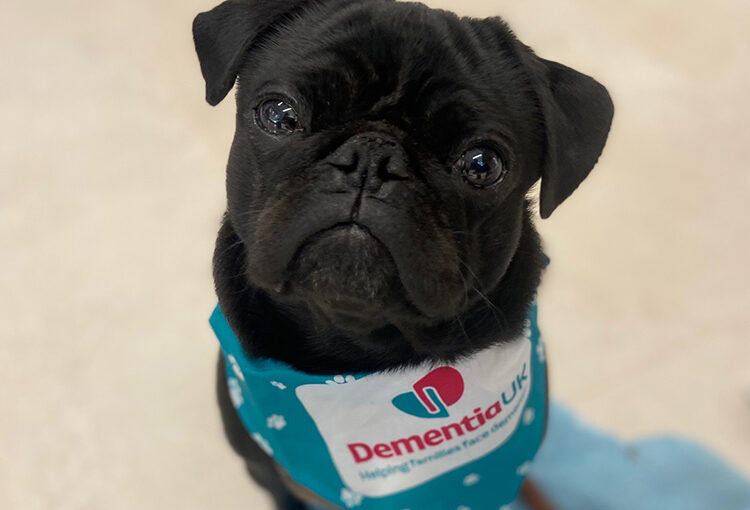 Leeds BS staff and dogs raise money for Dementia UK