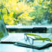 Which type of sustainable business are you?