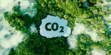 Half of SMEs to invest in sustainability