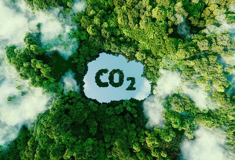 Half of SMEs to invest in sustainability